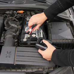 AEG Batteriepulser MB 1.0
