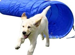 Agility Tunnel zusammenfaltbarer Tunnel für Hundesport | versch. Größen