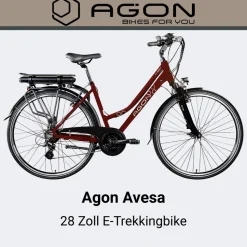 Agon Avesa E Bike Trekkingrad Damen Herren ab 155 cm mit Nabenmotor Pedelec Trekking Fahrrad mit 21 Gang und Beleuchtung StVZO Tiefeinsteiger