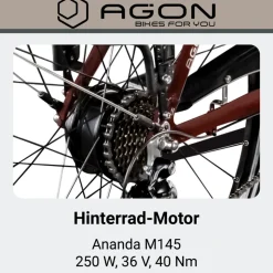 Agon Avesa E Bike Trekkingrad Damen Herren ab 155 cm mit Nabenmotor Pedelec Trekking Fahrrad mit 21 Gang und Beleuchtung StVZO Tiefeinsteiger