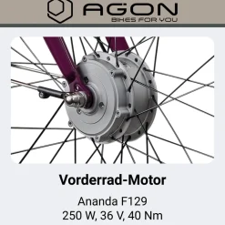 Agon Axis E-Bike 26 Zoll Citybike Damen Herren 140 - 165 cm Pedelec mit Nabenmotor Fahrrad 3 Gang und Beleuchtung StVZO