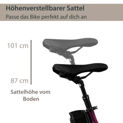 Agon Axis E-Bike 26 Zoll Citybike Damen Herren 140 - 165 cm Pedelec mit Nabenmotor Fahrrad 3 Gang und Beleuchtung StVZO