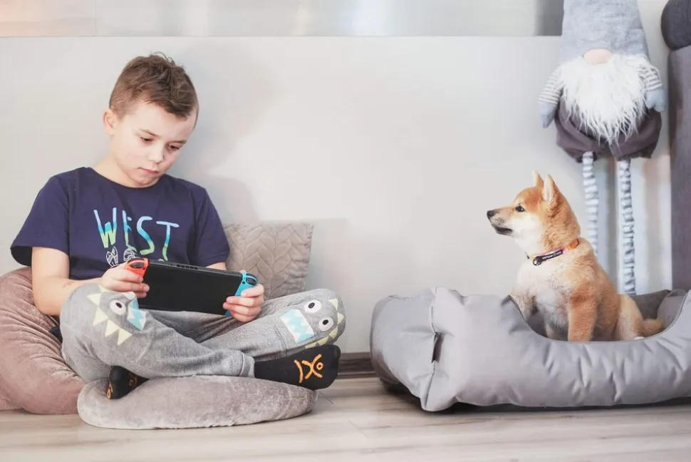 BedDog Hundebett TEDDY Hundesofa waschbares Hundebett mit Rand Hundekissen