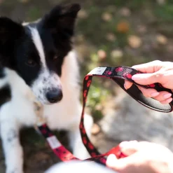 BedDog Hundeleine EMMA Führ-Leine Leine kleine und mittelgroße Hunde