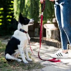 BedDog Hundeleine EMMA Führ-Leine Leine kleine und mittelgroße Hunde