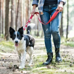 BedDog Hundeleine WILLY verstellbar in 3 Längen Führleine, Laufleine