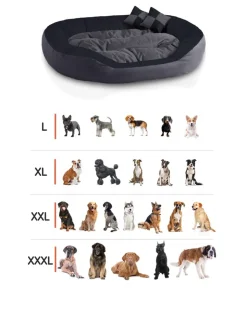 BedDog 4in1 Hundebett SABA großes Hundekörbchen abwischbar Hundekissen