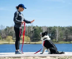 BedDog TYSON Trainingsleine mit Aufbewahrungsbeutel und Handschlaufe