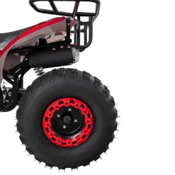 Benzin-Jugend-Quad S-10, 125ccm, ATV, Gepäckträger, Not-Aus-Leine, Halbautomatik, Scheibenbremse (Metallic/Rot)