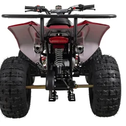 Benzin-Jugend-Quad S-10, 125ccm, ATV, Gepäckträger, Not-Aus-Leine, Halbautomatik, Scheibenbremse (Metallic/Rot)