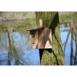 Beobachtungs-Vogelnistkasten "Einblick" aus Holz | versch. Farben