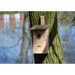 Beobachtungs-Vogelnistkasten "Einblick" aus Holz | versch. Farben