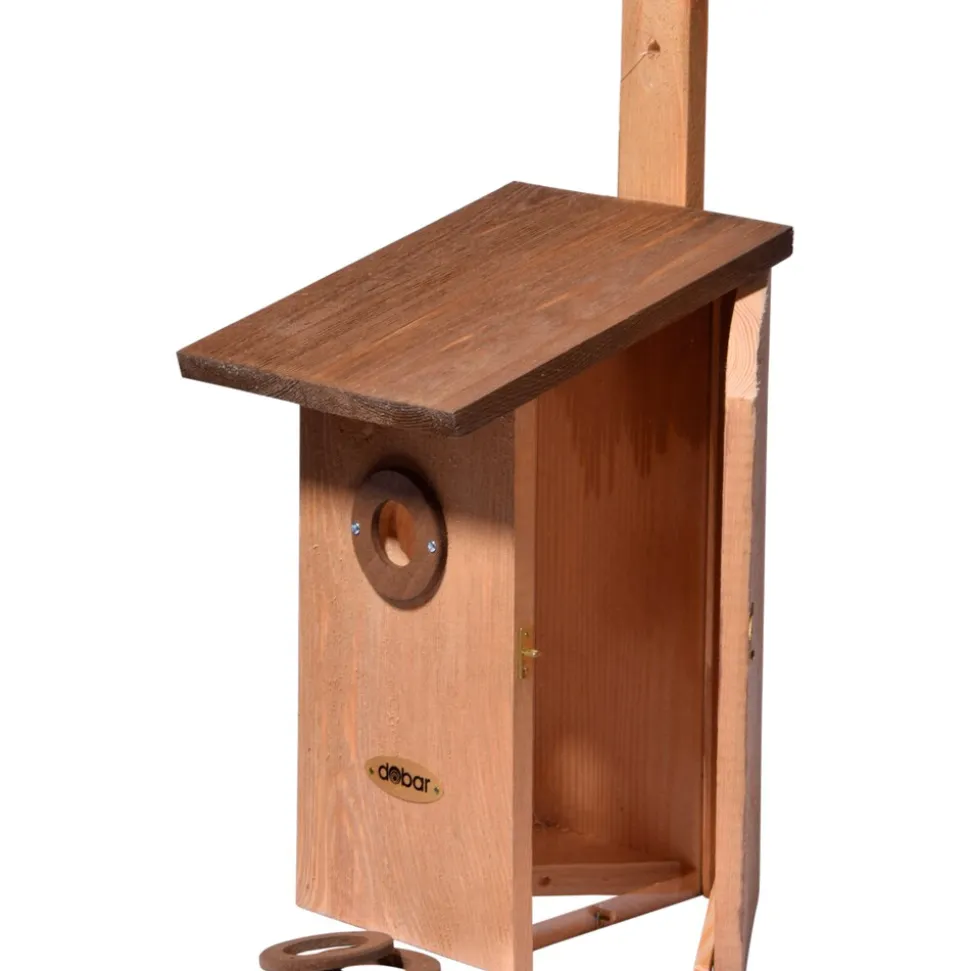 Beobachtungs-Vogelnistkasten "Einblick" aus Holz | versch. Farben