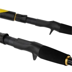 Black Cat Perfect Passion Allstar Cast 2,20m 30-130g Wels-Castingrute