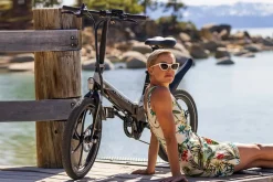 Blaupunkt HENRI Falt-E-Bike 20