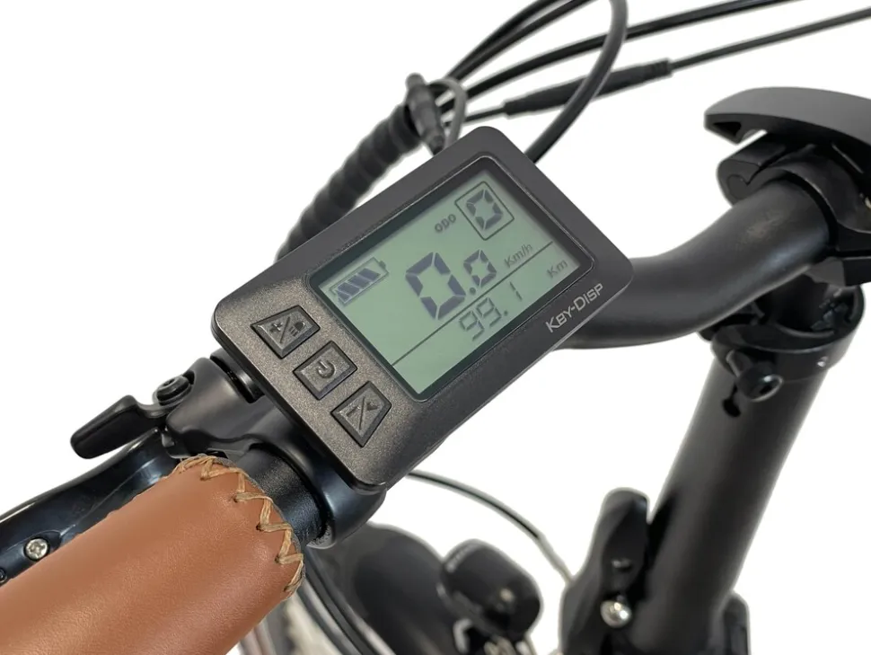 Blaupunkt LOTTE (Mod. 2024) 20 Zoll Tiefeinsteiger E-Bike