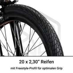 Bullseye Project 301 BMX 20 Zoll Bike Fahrrad 2 Pegs 360° Rotor Freestyle 20 Rad Jugendliche Erwachsene unisex für Tricks