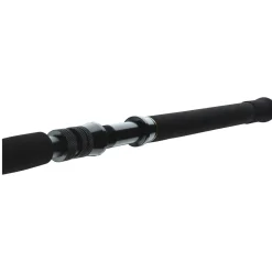 Daiwa BG Big Game 1.68m 20-30lbs Bootsrute