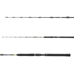 Daiwa BG Big Game 1.68m 20-30lbs Bootsrute