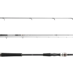 Daiwa Exceler Spin 3.00m 15-50g Spinnrute
