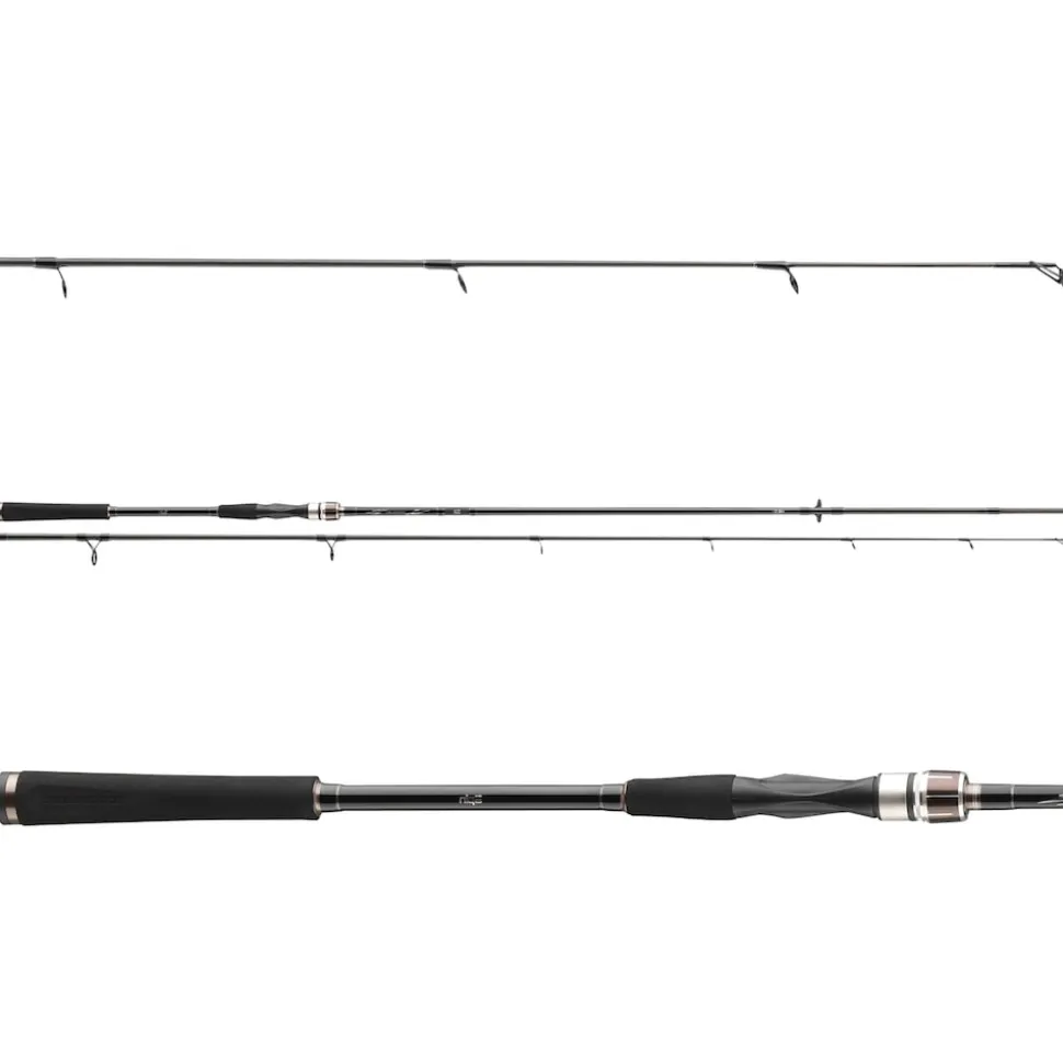 Daiwa Exceler Spin 3.00m 15-50g Spinnrute