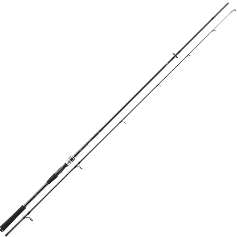 Daiwa Exceler Spin 3.00m 15-50g Spinnrute