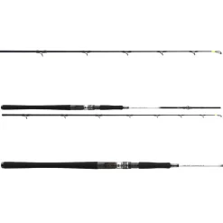 Daiwa Grandwave BC 2.25m 30-40lbs Heilbutt-Meeresrute