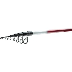 Daiwa Ninja Bolo 5m 25g Bolognese-Rute