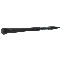 Daiwa Powermesh CF Spin 2,40m 135g Wels-Spinnrute