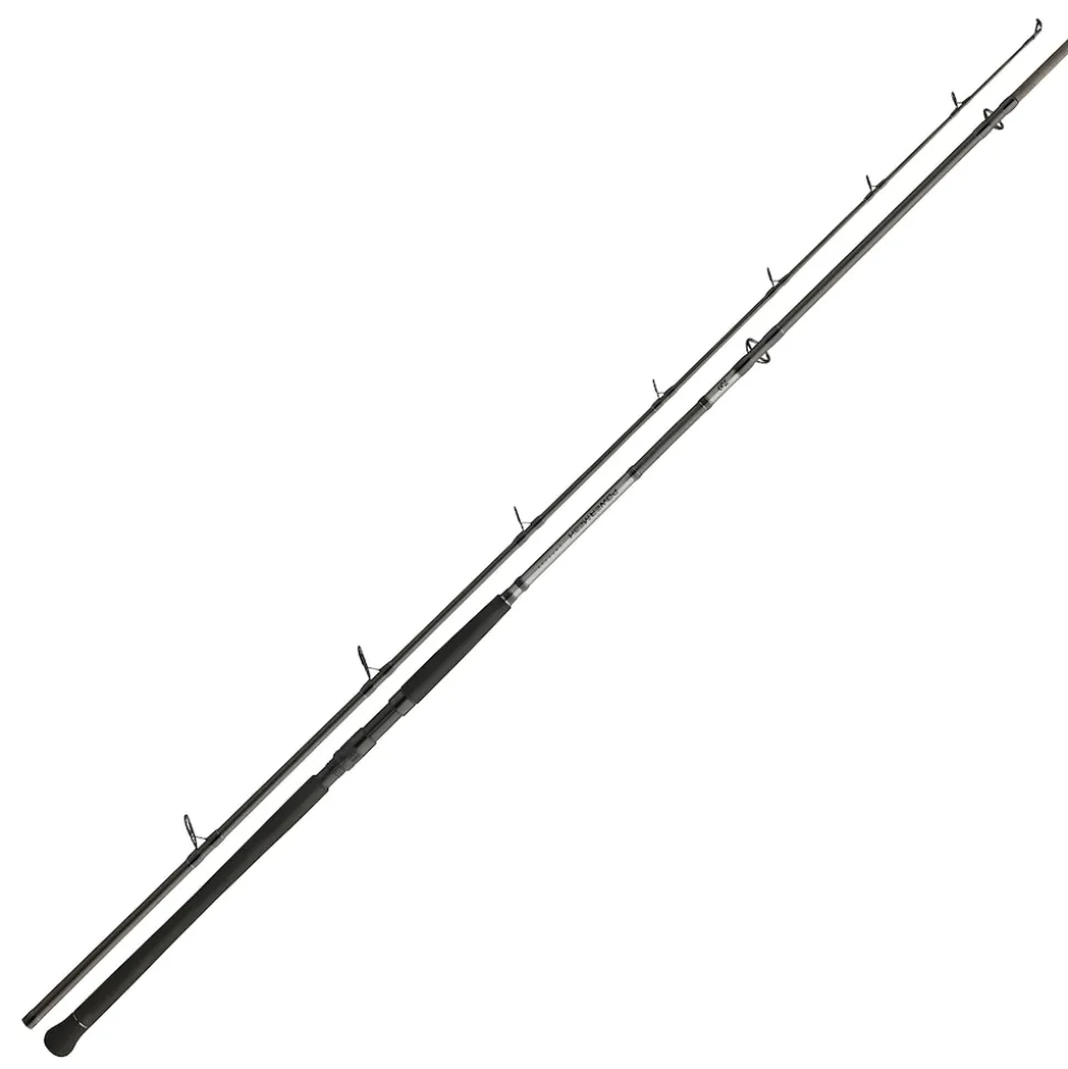Daiwa Powermesh CF Spin 2,40m 135g Wels-Spinnrute