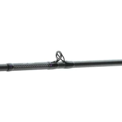 Daiwa Prorex AGS BC 2.15m 9-32g Baitcast-Rute