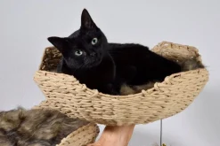 Design-Katzenmöbel "Tony"