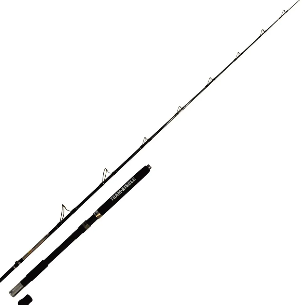 Dieter Eisele Norge Challenger Rute 2,10m 30lb Norwegenrute Meeresrute
