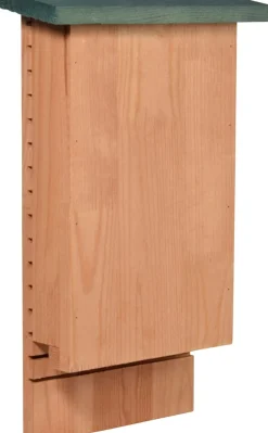 Dobar Chioptera Fledermauskasten