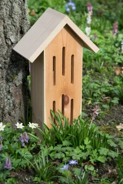 dobar Design-Schmetterlingshaus