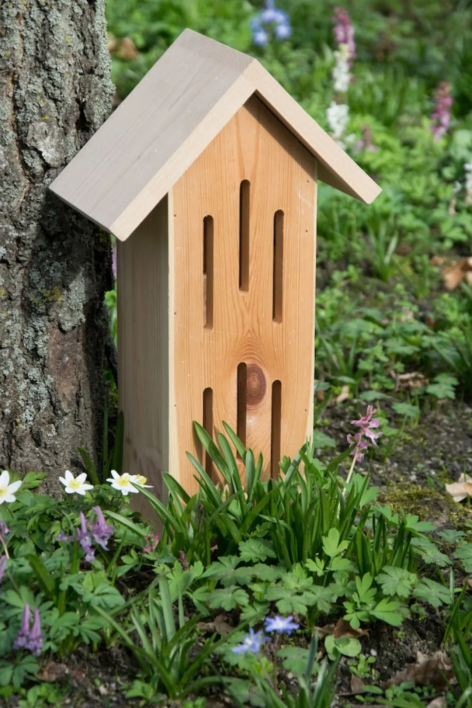 dobar Design-Schmetterlingshaus "Sonnenfalter Natur"