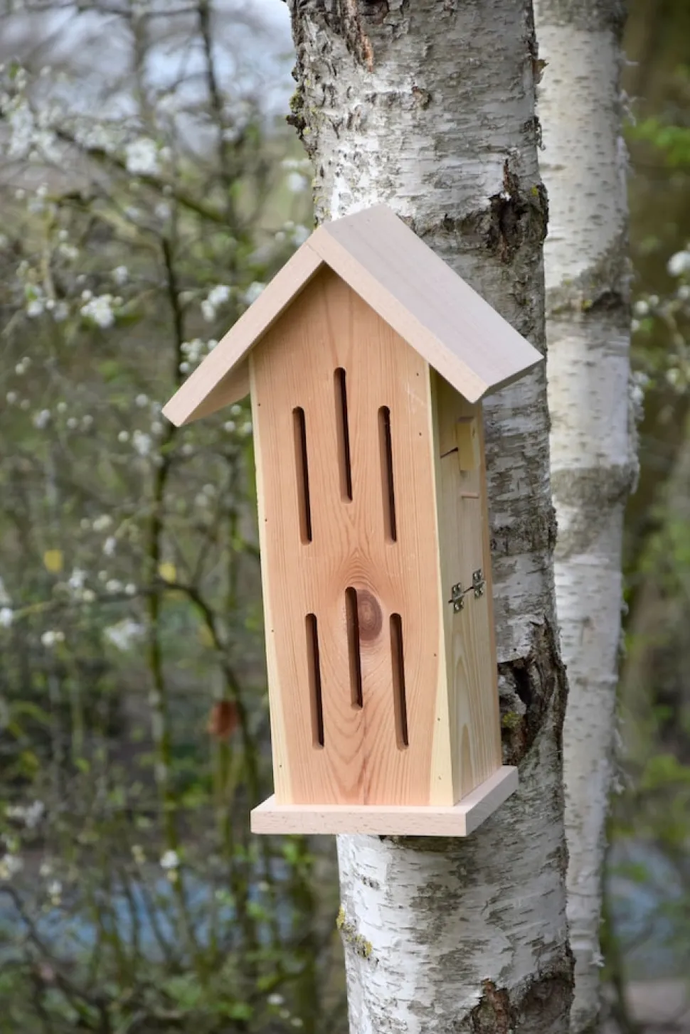 dobar Design-Schmetterlingshaus "Sonnenfalter Natur"