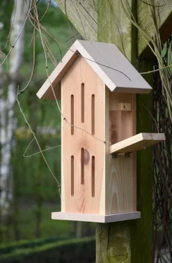 dobar Design-Schmetterlingshaus