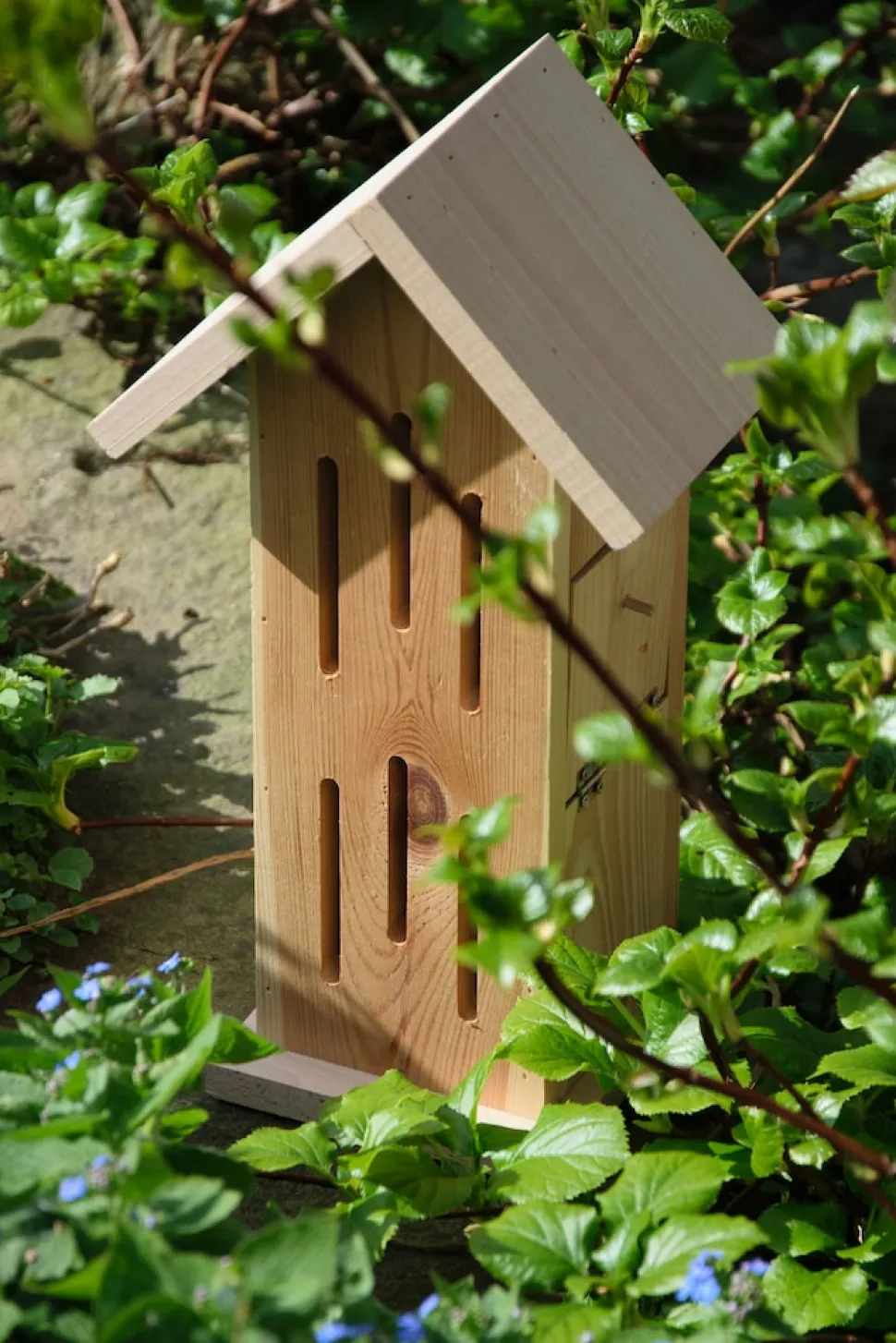 dobar Design-Schmetterlingshaus "Sonnenfalter Natur"