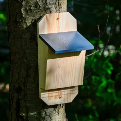 dobar Fledermauskasten "Microchiroptera", Anthrazit