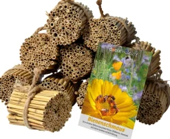dobar green label Schilfrohrhalme-Set plus Samenmischung "Bienenschmaus"