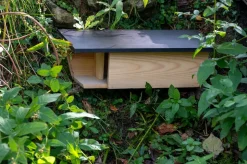 dobar Nistkasten für Bachstelzen