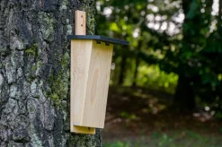 dobar Nistkasten für Baumläufer aus Holz