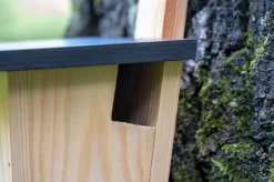 dobar Nistkasten für Baumläufer aus Holz