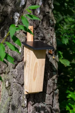 dobar Nistkasten für Baumläufer aus Holz
