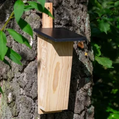 dobar Nistkasten für Baumläufer aus Holz
