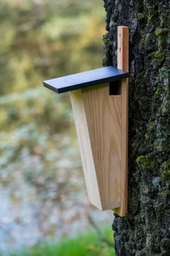 dobar Nistkasten für Baumläufer aus Holz