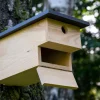 dobar Nistkasten für Höhlenbrüter