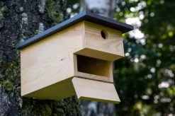 dobar Nistkasten für Höhlenbrüter