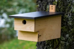 dobar Nistkasten für Höhlenbrüter